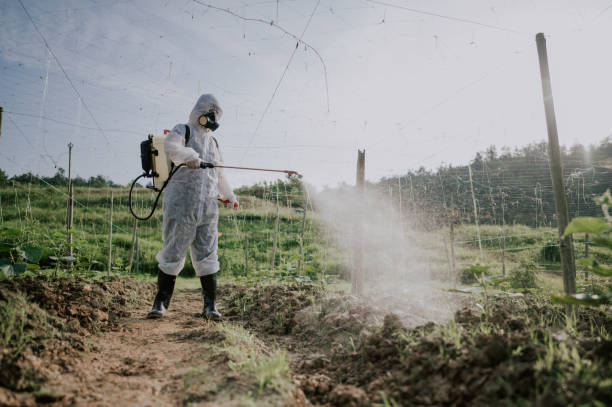 Best Pest Prevention Services  in Albany, KY