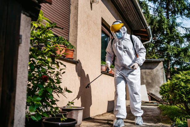  Albany, KY Pest Control Pros