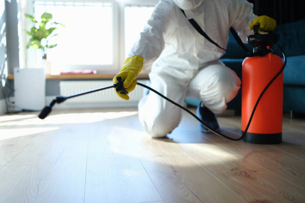 Best Pest Removal Services  in Albany, KY