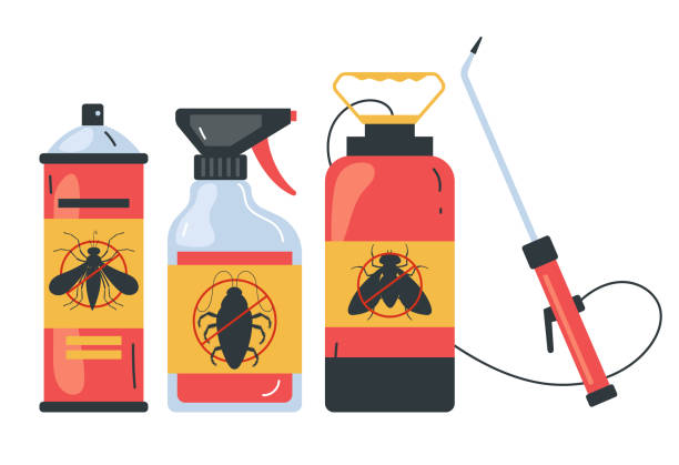 Best Ant Control Services  in Albany, KY