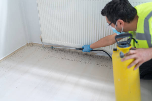 Best Pest Inspection Near Me  in Albany, KY