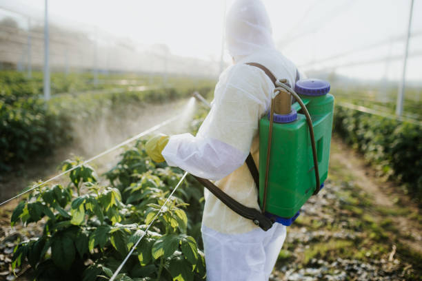 Reliable Albany, KY Pest Control Solutions